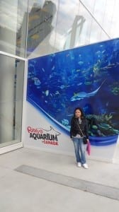 Réponses auditives des requins